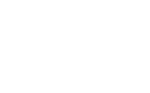 The Bat Flip Shop 