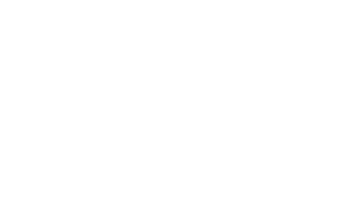 The Bat Flip Shop