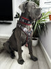 "EROS" BIG dog SET- Harness - collar - lead. Black & Red by Bestia Dog Gear