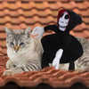 NEW Funny Pet Halloween Costume Halloween Pet Decoration Dress Up Pet Cosplay Costume Halloween Pet Clothes Spider Pumpkin Vest by My Store