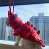 Halloween Cat Lobster Clothes New Year Christmas by My Store