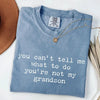 You Can't Tell Me What to Do - Funny Grandson T-Shirt by EnjoyMyDesign LLC