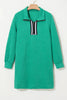 Classic Textured Zip Mini Dress Trendy Long Sleeve Dress for Women Modern Dress by Stevvex