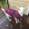 Waterproof Dog Clothes Winter Dog Coat With Harness Warm Pet Clothing Big Dog Jacket Chihuahua Labrador Coat Costume by My Store