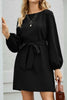 Tied Boat Neck Balloon Sleeve Mini Dress