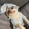 Clothes, Dogs Cats Favs Teddy Schnauzer by My Store