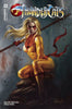 THUNDERCATS #2 CVR B PARRILLO (03/13/2024) by Unknown Comic Books