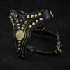 The ''Maximus'' harness V2 Medium Size by Bestia Dog Gear