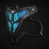 The ''Morelia Python'' harness by Bestia Dog Gear