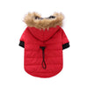 Winter clothing for pets by My Store