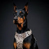 The ''Rock Python'' harness by Bestia Dog Gear