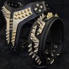 The ''Platinum'' collar by Bestia Dog Gear