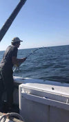 Chatham BLANKS