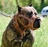 The "Eros" muzzle brown by Bestia Dog Gear