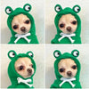 Fruit Dog Clothes Two-legged Hooded Outfits Green Fleece Clothing Autumn Winter Hoodies by My Store