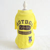 Pet clothes dog clothes by My Store