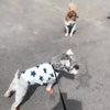 Pet Clothes Dog Clothes Pet Dog Clothes by My Store