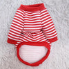 Cat Dog Pet Clothes for Small Dog Cute Sweater Spring Cat Cute Teddy Bear by My Store