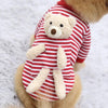 Cat Dog Pet Clothes for Small Dog Cute Sweater Spring Cat Cute Teddy Bear by My Store