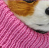 Pet Clothes Clothing Dog Sweater by My Store