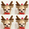 Cute Fruit Dog Clothes For Small Dogs Hoodies Winter Warm Fleece Pet Clothing Puppy Cat Costume Coat For French Chihuahua Outfit by My Store