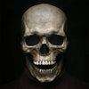Mask Movable Skull Halloween Dinosaur Skull by My Store