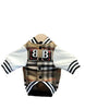 Dog Clothes Winter Wool Jarre Aero Bull Schnauzer Bichon Teddy Shiba Inu Pet Hair Padded Jacket by My Store