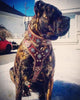 The "Aztec" big dogs harness BROWN by Bestia Dog Gear