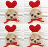 Fruit Dog Clothes Two-legged Hooded Outfits Green Fleece Clothing Autumn Winter Hoodies by My Store