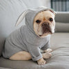 Dog Pet Clothes Spring And Autumn Clothing by My Store