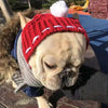 Funny woolen hat for pets to keep warm in winter by My Store