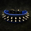 "Frenchie" collar by Bestia Dog Gear
