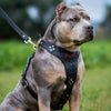 ''Batman'' harness Medium Size by Bestia Dog Gear