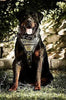 The "Metal" harness- Personalized! by Bestia Dog Gear