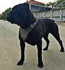 The "Gladiator" harness by Bestia Dog Gear