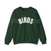 BIRDS Sweatshirt | Minimalist Ornithology Nature Jumper | Bird Watcher Wildlife Crewneck | Nature Lover Gift