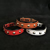The "Superstar" puppy dog collar by Bestia Dog Gear