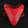 "Star" harness by Bestia Dog Gear