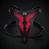The ''Red Dragon'' harness Medium Size by Bestia Dog Gear