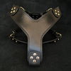 The ''Style'' harness Black by Bestia Dog Gear