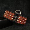 "Star" collar by Bestia Dog Gear