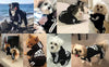 Pet Dog Jumpsuit for Small Medium Dogs by Furr Baby Gifts