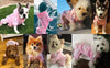 Pet Dog Jumpsuit for Small Medium Dogs by Furr Baby Gifts