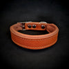 Clean Puppy Collar by Bestia Dog Gear