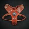 The ''Eros'' harness brown Small to Medium Size by Bestia Dog Gear