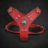 The ''Eros'' harness red Small to Medium Size by Bestia Dog Gear