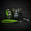 The ''Bijou'' SET - Collar, Harness, Leash. Green by Bestia Dog Gear