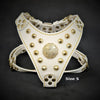 The ''Maximus'' harness White & Gold Small to Medium Size by Bestia Dog Gear