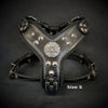 The ''Maximus'' harness black & silver Small to Medium Size by Bestia Dog Gear