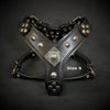 The ''Eros'' harness black Medium Size by Bestia Dog Gear